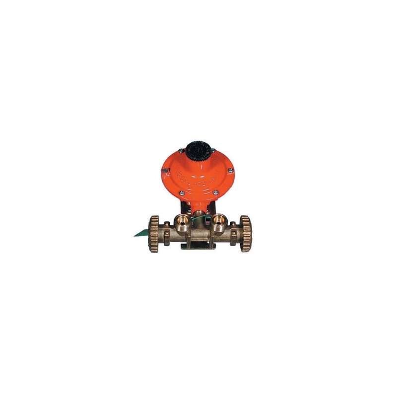 Mini-centralina Gas Con Regolatore 2202 Senza Manichette - Kg. / H 7 420-540